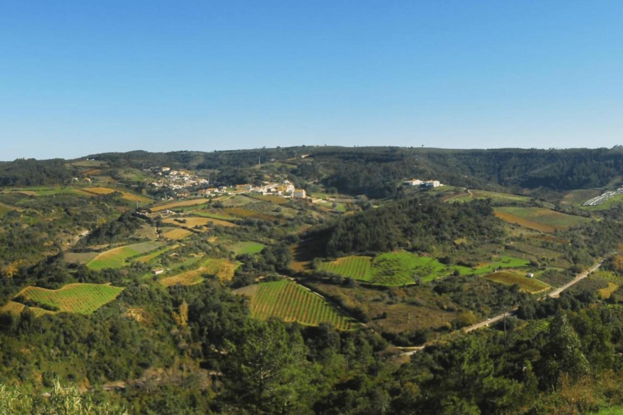 Casas Da Tia Alice - Casas De Campo Encantadoras Em Мафра Экстерьер фото